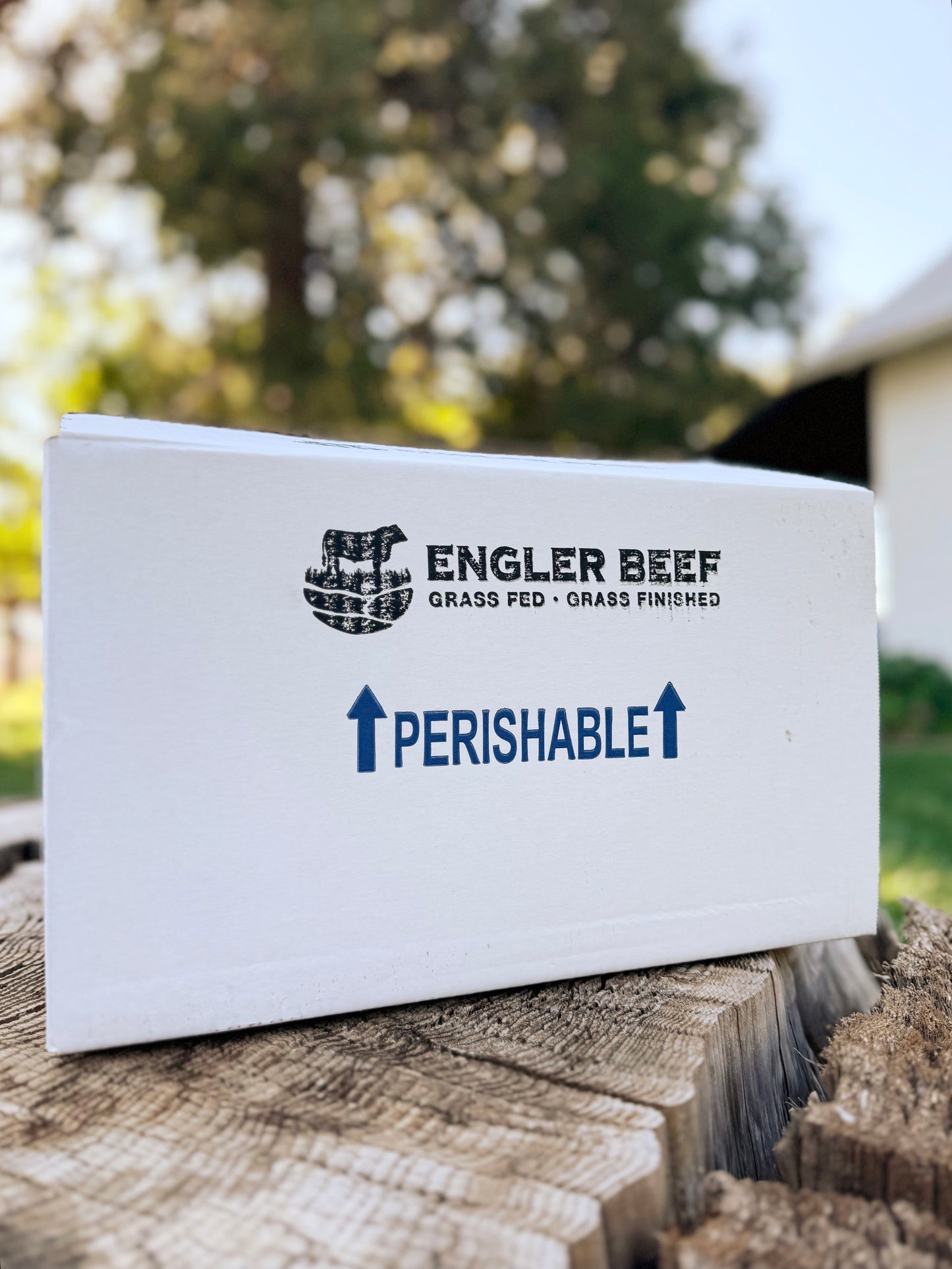 Monthly Variety Box